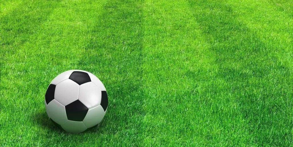 球探分析球探即时比分大赢家二维码